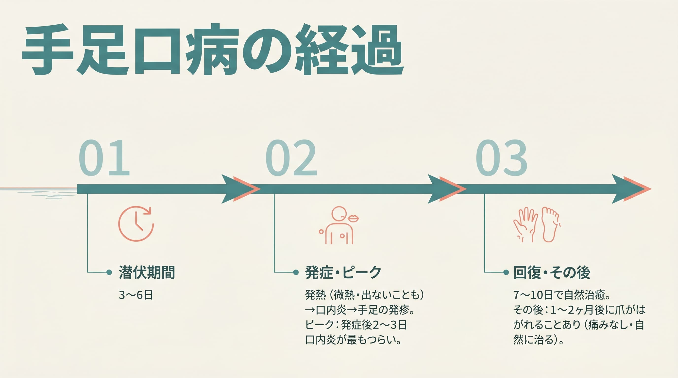 手足口病の経過。潜伏から発症・ピーク・回復・爪がはがれるまでの時系列。